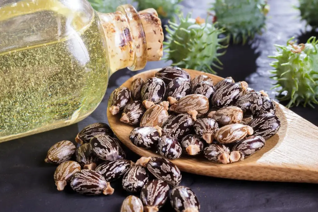 Castor Oil in a bottle for massage with beans