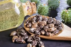 Castor Oil in a bottle for massage with beans