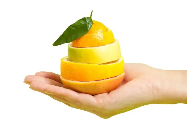 Slices of orange and lemon held in a hand