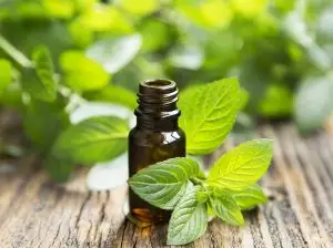 Bottle of peppermint essential oil